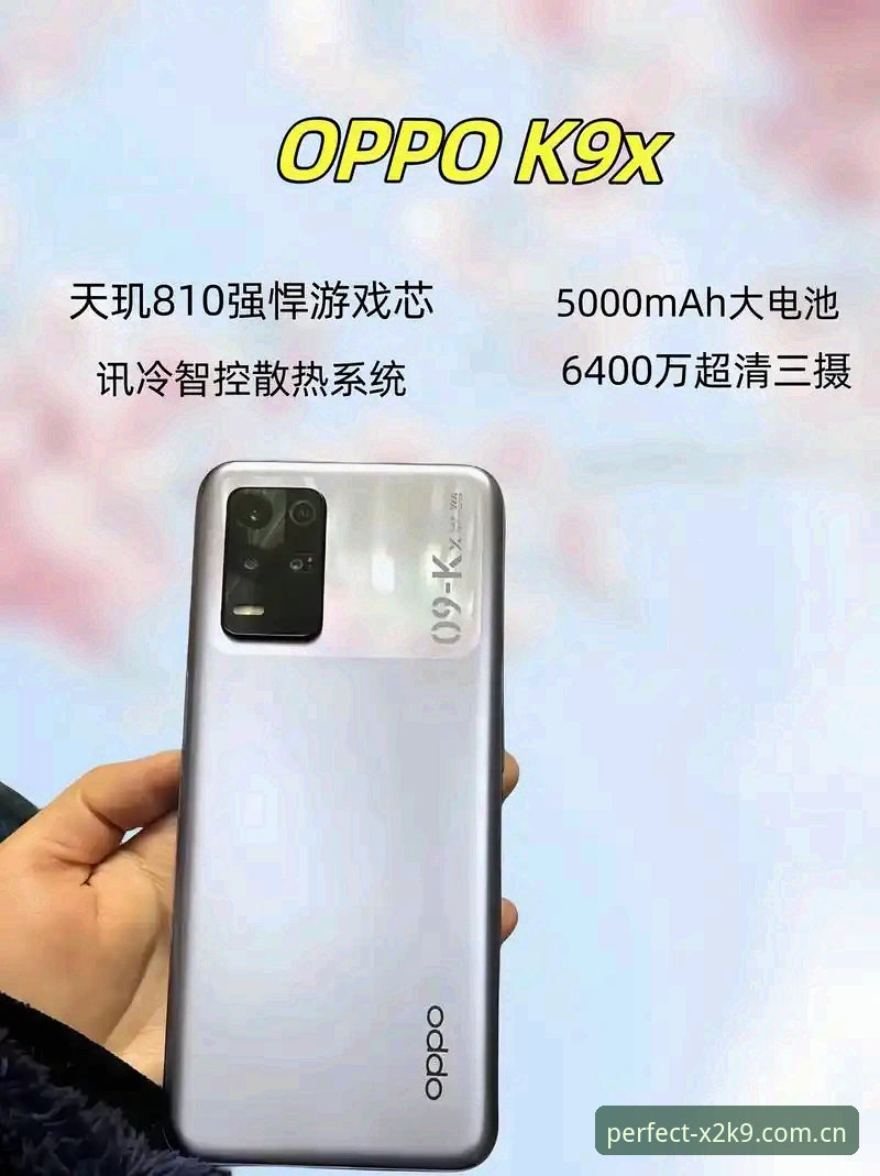 完美体育官方下载 完美体育官方下载生态全面解析:从X2K9客户端到卓越版评测的创新突破